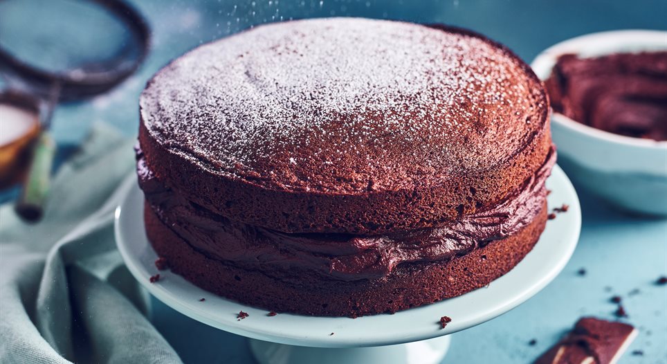 Chocolate Sponge Cake Recipe Chocolate Sponge Cake Recipe