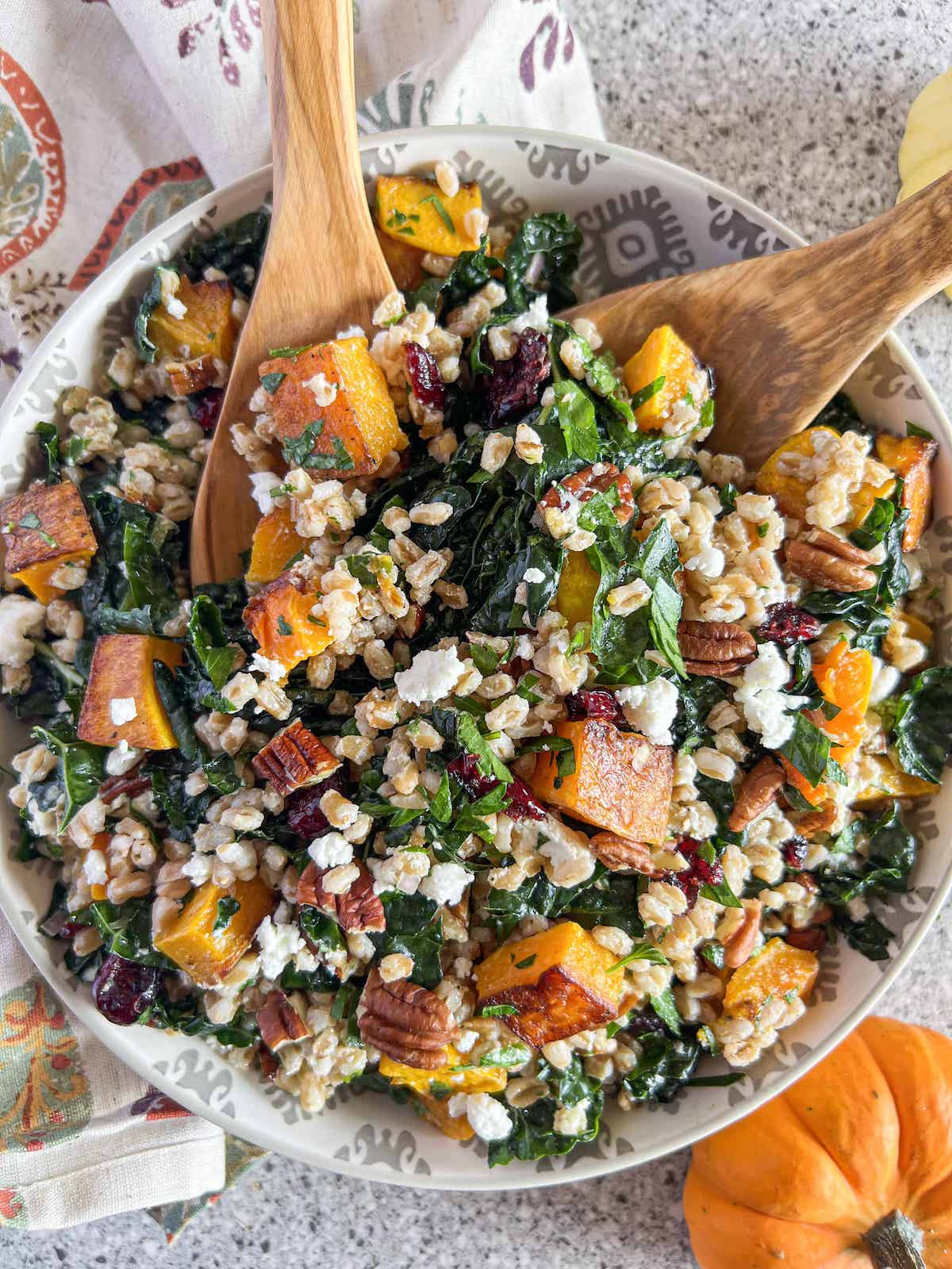WINTER FARRO SALAD